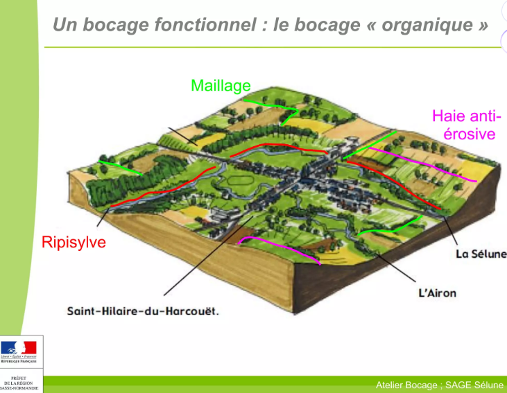 'écran 2025 10 03 183234